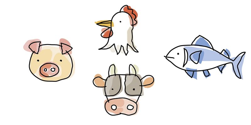 điều cần biết về Collagen